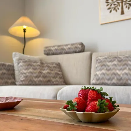 Con Terraza Y Vista Al Jardin Lejlighed *
